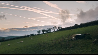 你本应离开剧照的剧照