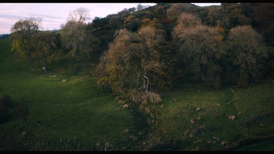 你本应离开剧照的剧照