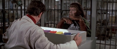 逃离猩球剧照的剧照