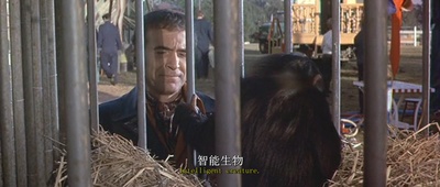 逃离猩球剧照的剧照