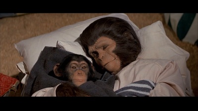 逃离猩球剧照的剧照