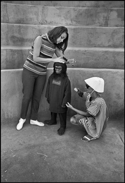 人猿星球剧照的剧照