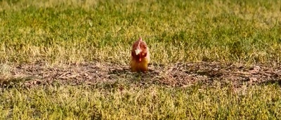 双龙出手剧照的剧照