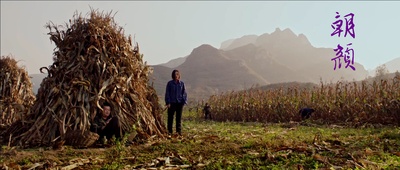 朝颜剧照的剧照