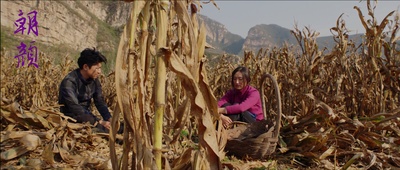 朝颜剧照的剧照