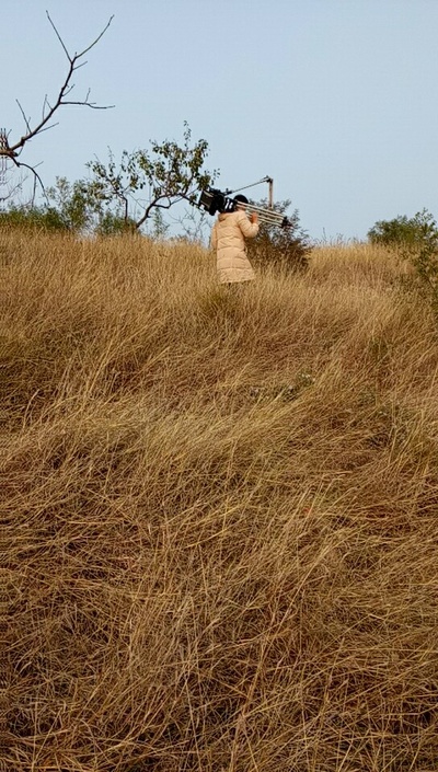朝颜剧照的剧照