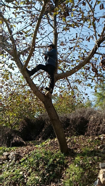 朝颜剧照的剧照