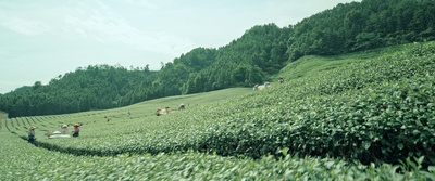 我和我的家乡剧照的剧照