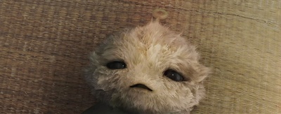 长江七号剧照的剧照