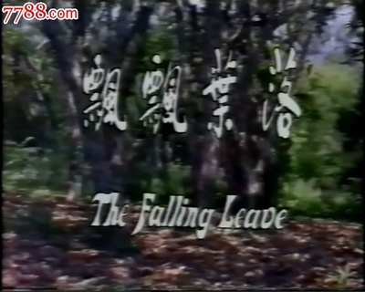 落叶飘飘剧照的剧照