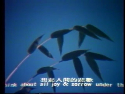 麻瘋女剧照的剧照