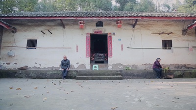 我的爷爷奶奶剧照的剧照