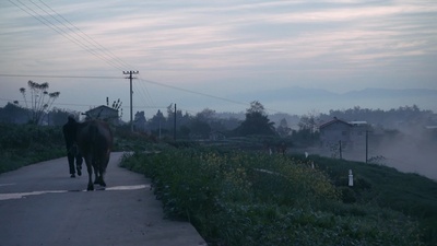 我的爷爷奶奶剧照的剧照