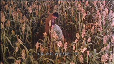 高粱地里大麦熟剧照的剧照