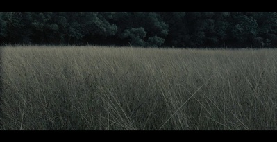 复仇者之死剧照的剧照