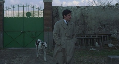 红圈剧照的剧照