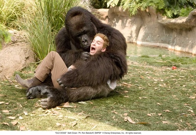 老家伙剧照的剧照