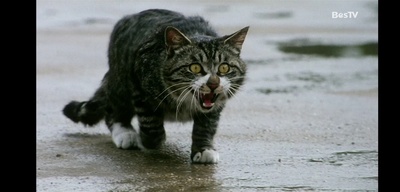 少年往事剧照的剧照