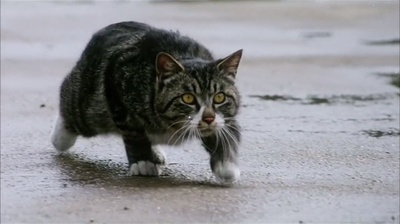 少年往事剧照的剧照