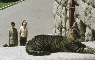 少年往事剧照的剧照