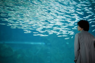 超能力者剧照的剧照