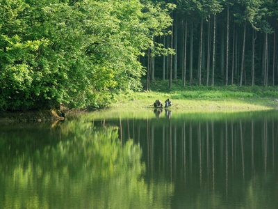 花之武者剧照的剧照