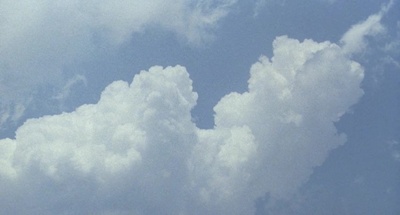 花之武者剧照的剧照