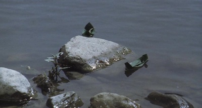 花之武者剧照的剧照