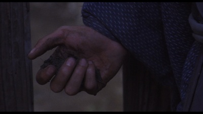 花之武者剧照的剧照