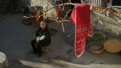 我的奶奶是天使剧照的剧照