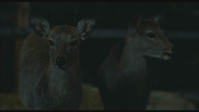 大鹿村骚动记剧照的剧照