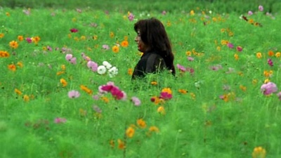 以藏剧照的剧照