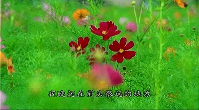 以藏剧照的剧照