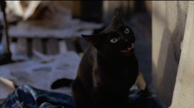 垃圾街剧照的剧照