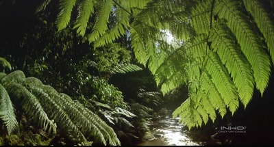 热带雨林剧照的剧照