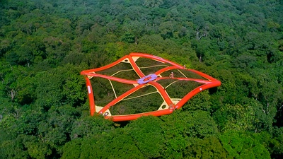 热带雨林剧照的剧照