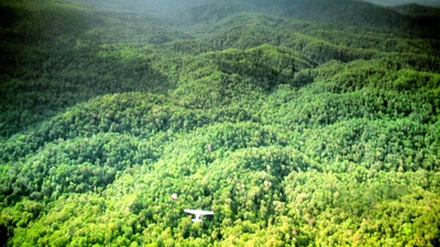 热带雨林剧照的剧照