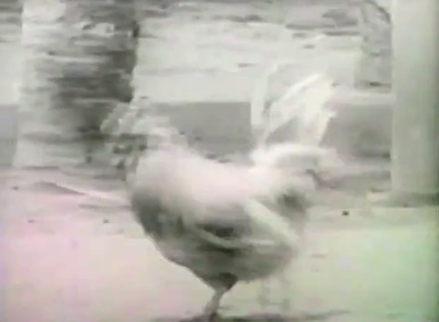 反高潮剧照的剧照