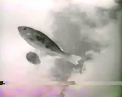 反高潮剧照的剧照