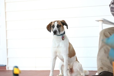 苦瓜瀑布的圣诞节剧照的剧照