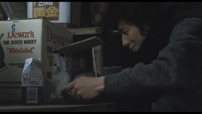 彩河剧照的剧照