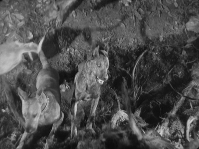 最危险的游戏剧照的剧照