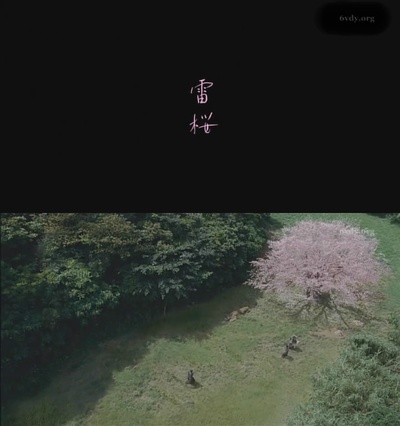 雷樱剧照的剧照