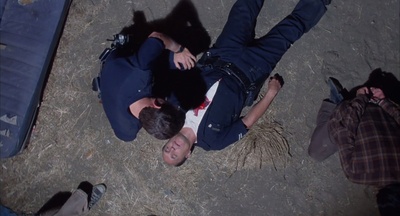 彩色响尾蛇剧照的剧照