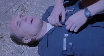 彩色响尾蛇剧照的剧照