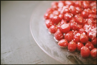 食行人生剧照的剧照