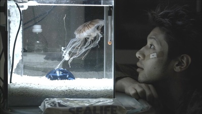 光明的未来剧照的剧照