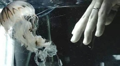 光明的未来剧照的剧照