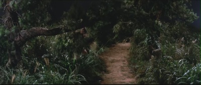 游侠儿剧照的剧照