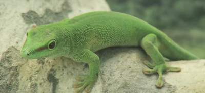 我们曾是战士剧照的剧照